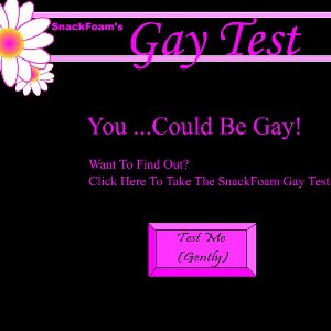 Gay Test